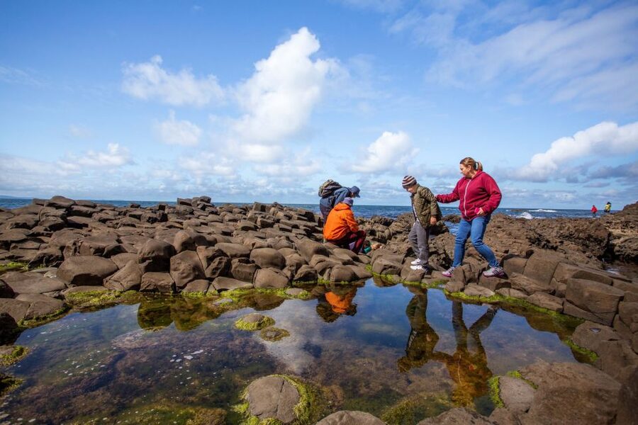 Dublin: Giant's Causeway & Belfast (Titanic or Black Taxi) - Giant’s Causeway: UNESCO Columns and Time to Walk