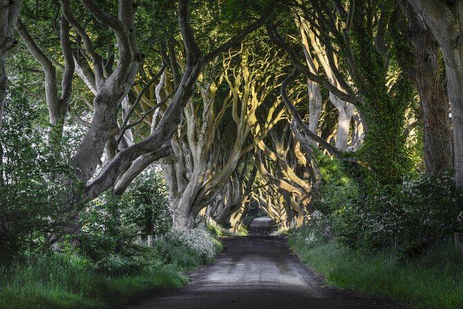Dublin: Giant's Causeway, Dark Hedges, Dunluce and Belfast Titanic entrance fee - Key Highlights Worth Booking For