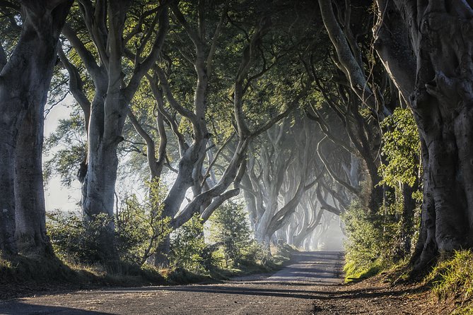 Dublin: Giant's Causeway, Dark Hedges, Dunluce and Belfast Titanic entrance fee - Price, Value, and Timing: Is $102.79 a Smart Trade?