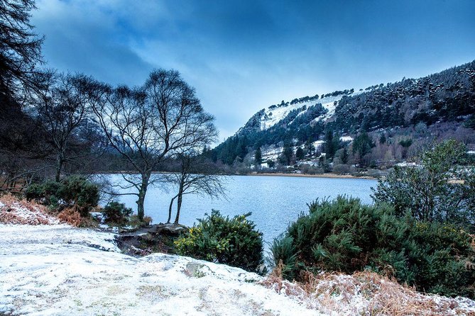 Dublin: Glendalough, Wicklow, Kilkenny and Sheepdog demonstration - Kilkenny In About Two Hours: Medieval Streets, Castle Choices, And Pub Legends