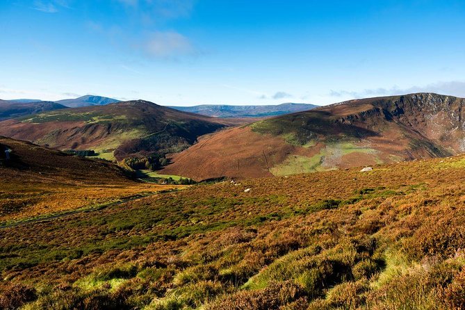 Dublin: Glendalough, Wicklow, Kilkenny and Sheepdog demonstration - Should You Book It?