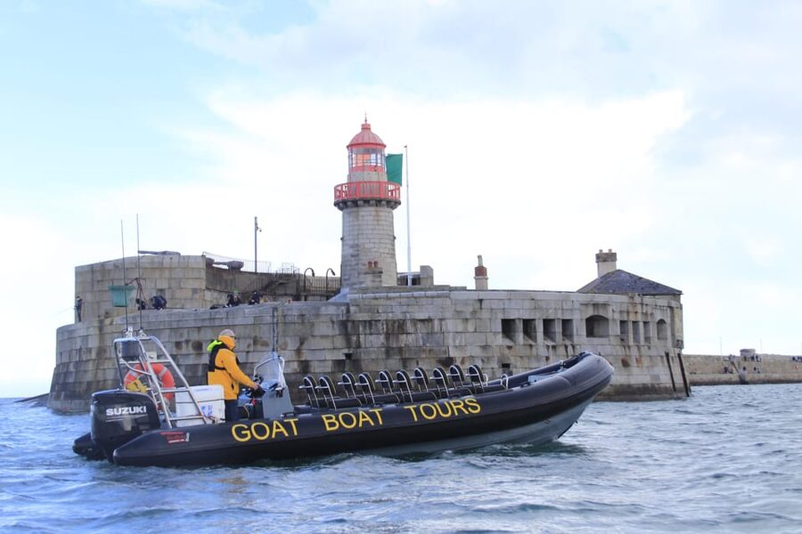 Dublin: History and Wildlife Boat Tour with Live Commentary - Dun Laoghaire Harbour: The First Real Look at This Coast