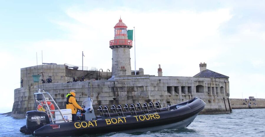 Dublin: History and Wildlife Boat Tour with Live Commentary - Martello Towers, Then Out Into Open Water