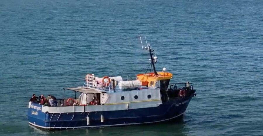 Dublin: Howth Cliffs and Lighthouse Boat Tour - Howth Cliffs Boat Tour: Why This Short Ride Works