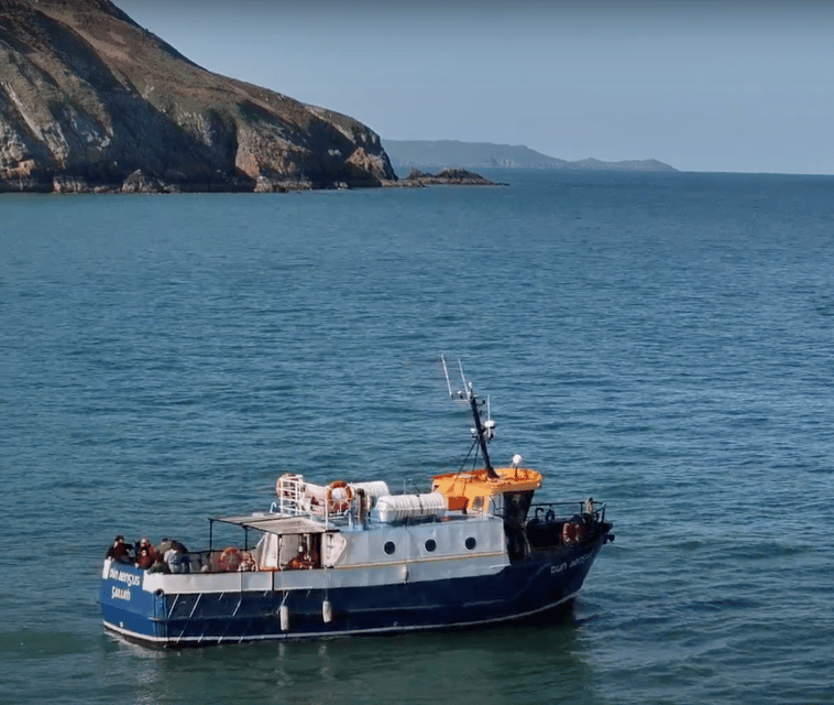 Dublin: Howth Cliffs and Lighthouse Boat Tour - Wildlife In Dublin Bay Biosphere: Seals, Birds, And What To Look For