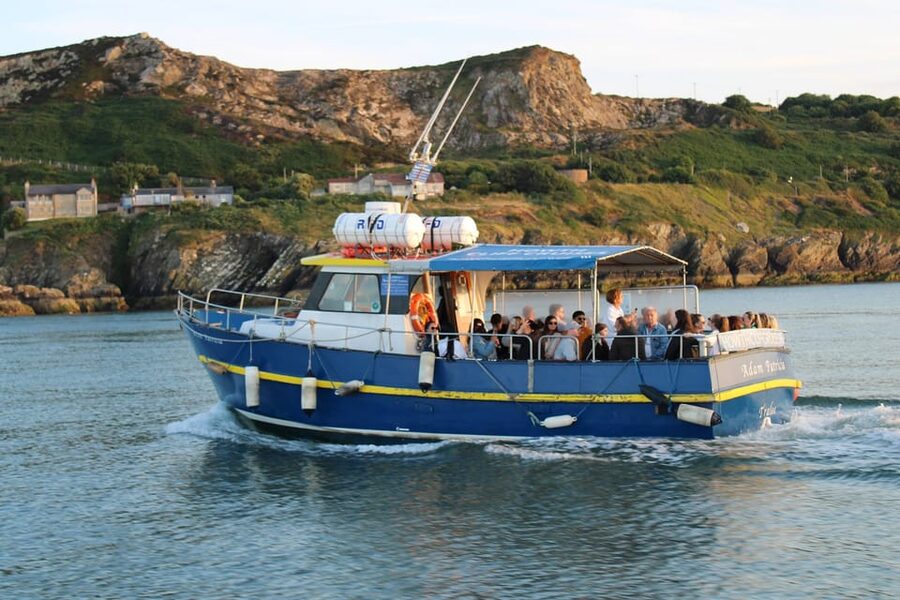 Dublin: Howth Cliffs and Lighthouse Boat Tour - Live Onboard Commentary: How To Get More Out Of The Cruise