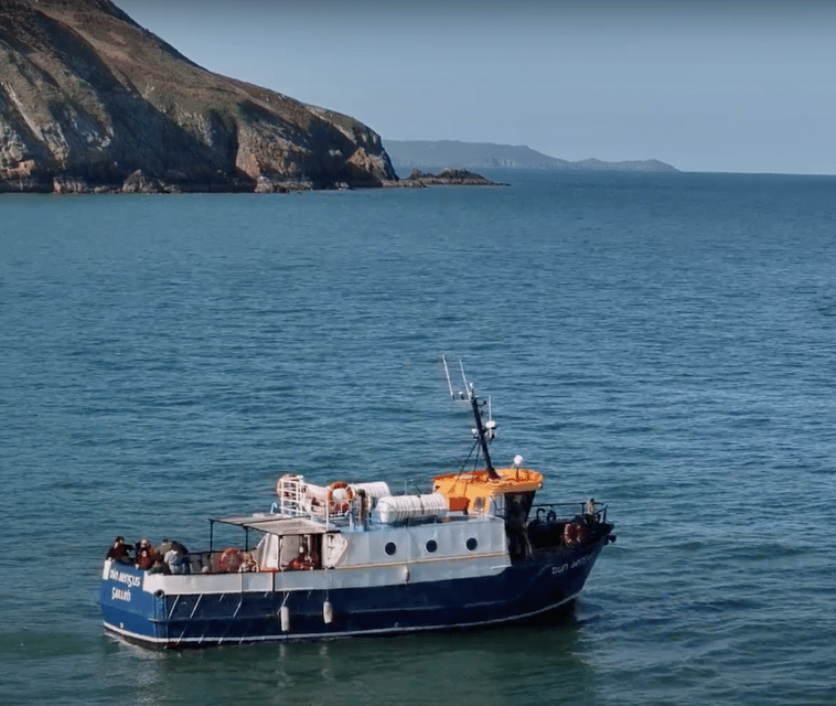 Dublin: Howth Cliffs and Lighthouse Boat Tour - Getting To The West Pier In Howth Without Stress