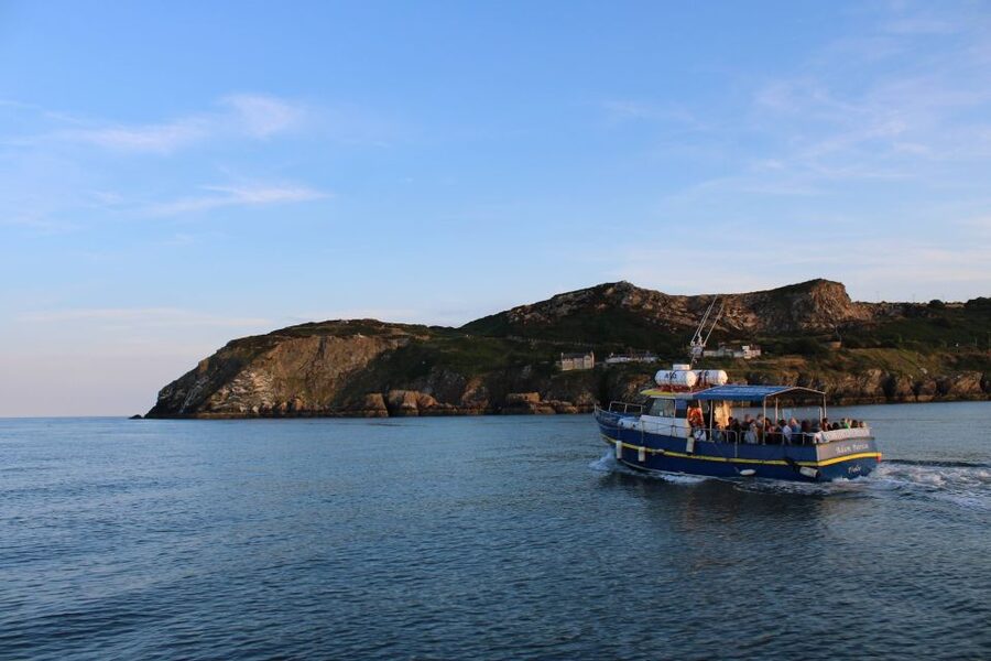 Dublin: Howth Cliffs and Lighthouse Cruise - Getting to the Pier: West Pier Check-In Is Straightforward