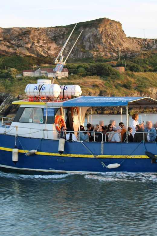 Dublin: Howth Coast and Ireland's Eye Boat Tour - Cruising Howth’s Coastline, Howth Head, and Balscadden Bay