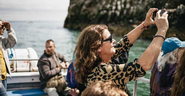Dublin: Howth Coastal Boat Tour - How the Howth Coastal Boat Tour fits Dublin like a glove