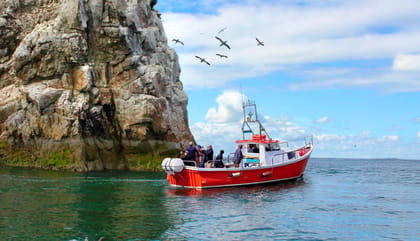 Dublin: Howth Coastal Boat Tour - The 50-minute cruise around Ireland’s Eye is short, not rushed