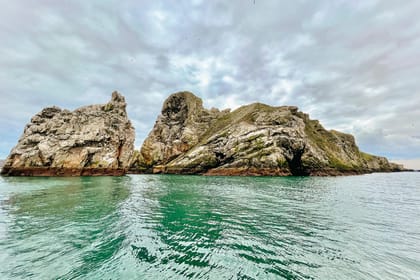 Dublin: Howth Coastal Boat Tour - Dublin Bay Biosphere views: cliffs, caves, and the waterline perspective
