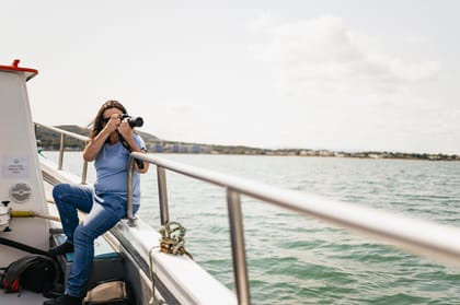 Dublin: Howth Coastal Boat Tour - The Stack rock and the seabird magnet effect