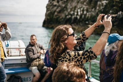 Dublin: Howth Coastal Boat Tour - Wildlife odds: seals, puffins, gannets, and sometimes dolphins