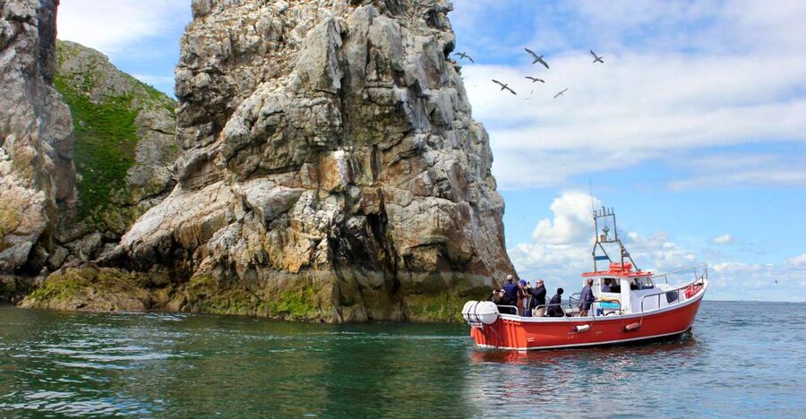 Dublin: Howth Coastal Boat Tour - Live guide energy: what makes the stories work on a boat