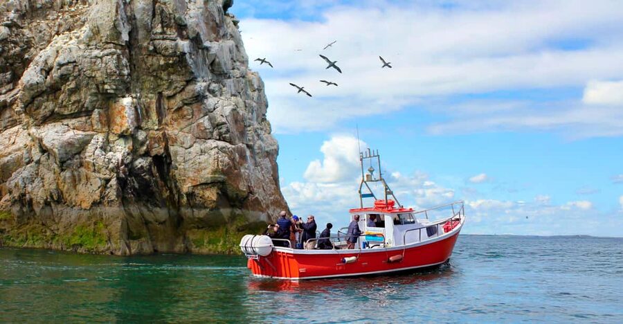 Dublin: Howth Coastal Boat Tour - Starting at 9 W Pier, you feel the place before you leave it