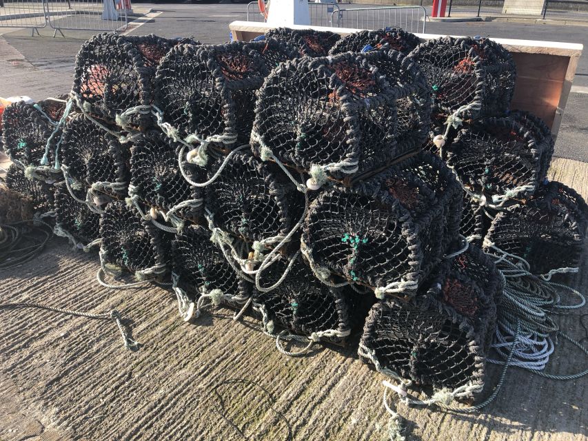 Dublin: Howth Coastal Craft Beer and Seafood Tour - Practical tips for a smooth 3-hour coastal walk