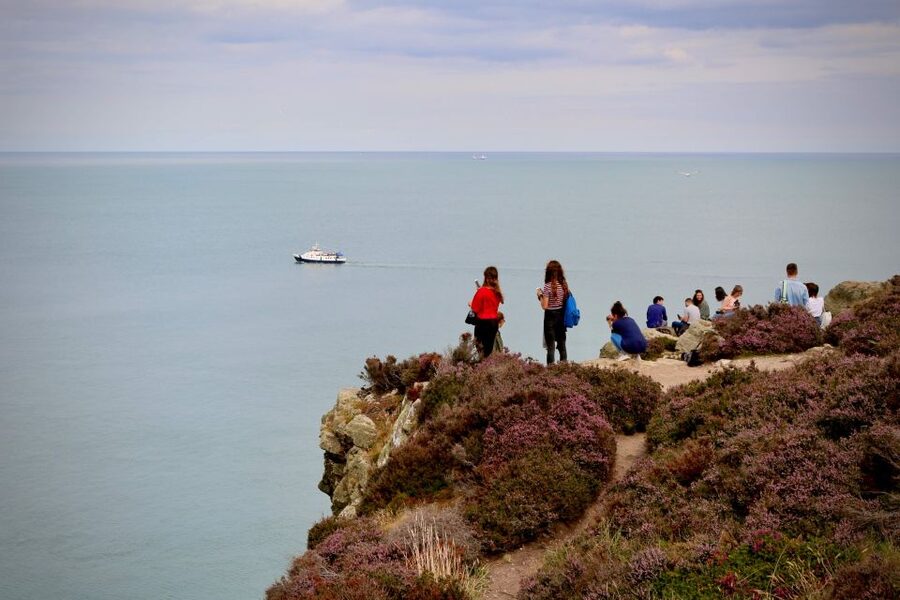Dublin: Howth Coastal Hiking Tour - Small Details That Matter on a Coast Hike