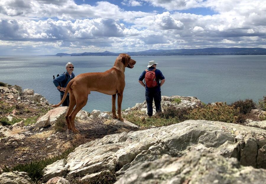 Dublin: Howth Coastal Hiking Tour - Why Howth Works So Well for a Short Dublin Getaway