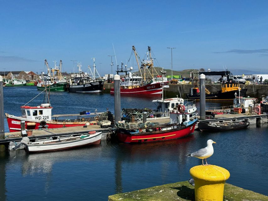 Dublin: Howth Coastal Hiking Tour - Where You Meet: Howth Market Across From the Station