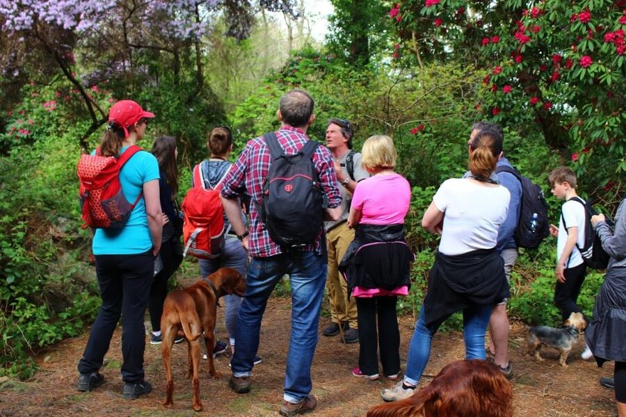 Dublin: Howth Coastal Hiking Tour - Pace, Shoes, and Weather Reality Check