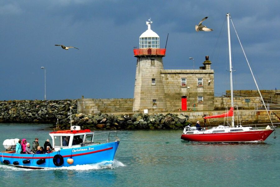 Dublin: Howth Coastal Hiking Tour - The Local Guide Factor: Stories, Ecology, and Even Dogs