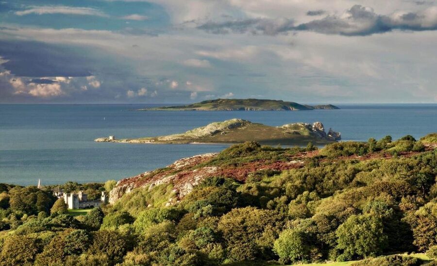Dublin: Howth Coastal Hiking Tour - Who This Tour Suits Best
