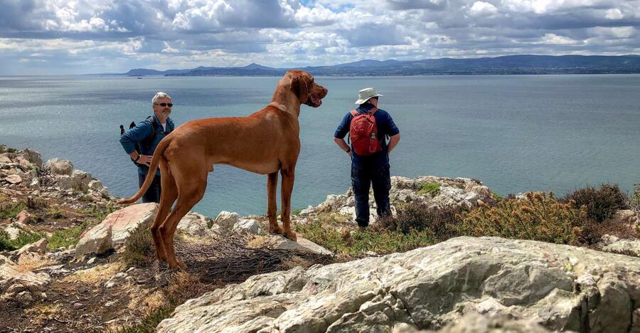 Dublin: Howth Coastal Hiking Tour - Price, Time, and What You Get for $44