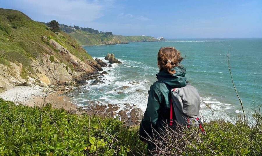 Dublin: Howth Safari Hiking Tour - Key things that make this Howth hike worth your time