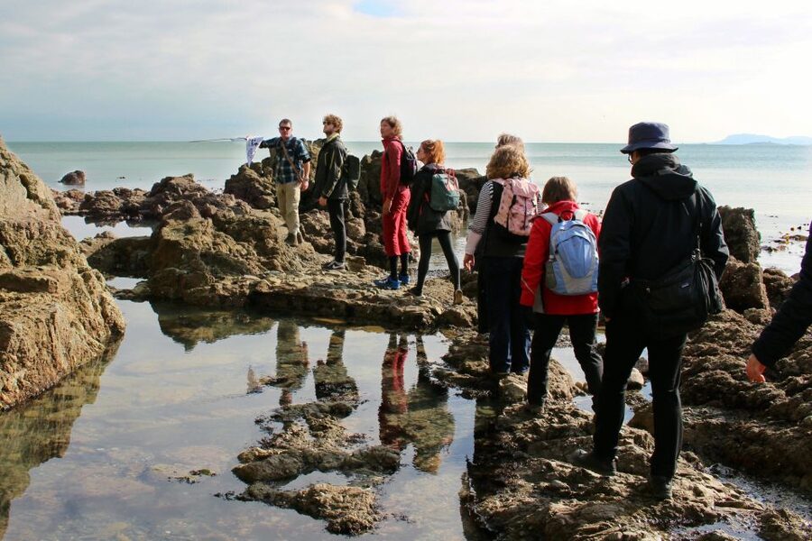 Dublin: Howth Safari Hiking Tour - What to bring (so you do not spend the hike thinking about comfort)