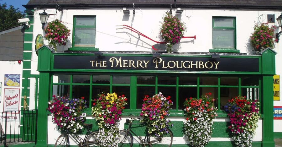 Dublin: Irish Night Show at the Merry Ploughboy Pub - Dinner and show: the three-course meal, portions, and the occasional wobble