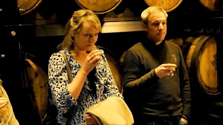 Dublin: Jameson and Guinness Private Tour with Transfers - Key highlights you will actually feel during the tour