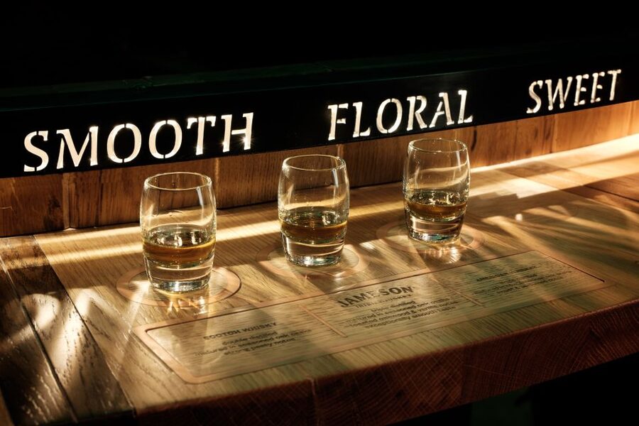 Dublin: Jameson and Guinness Private Tour with Transfers - Who This Tour Suits Best (and Who Should Rethink It)
