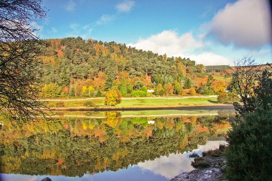 Dublin: Kilkenny, Wicklow & Glendalough Tour & Sheepdog Show - Guides and Drivers: Why the Experience Feels Easy