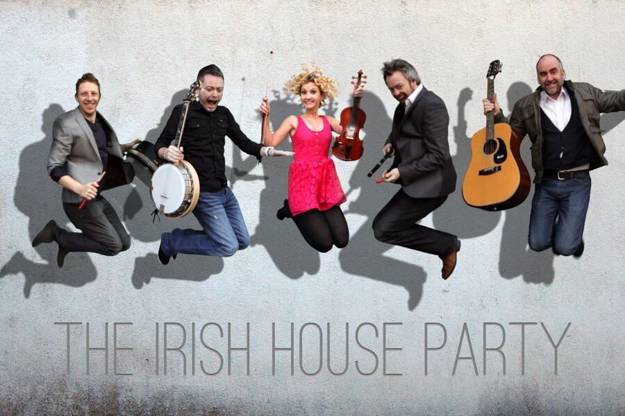 Dublin: Music and Dance Show at The Irish House Party - The Irish instruments you will hear, and why the explanations matter