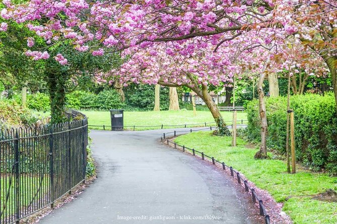 Dublin Off-The-Beaten-Path Private Literary Walking Tour - Price and value: is $170 per person worth it?