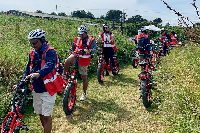 Dublin Panoramic e-Bike Tour with Howth Adventures - Howth Summit trails, Baily Green, and the cliff path energy