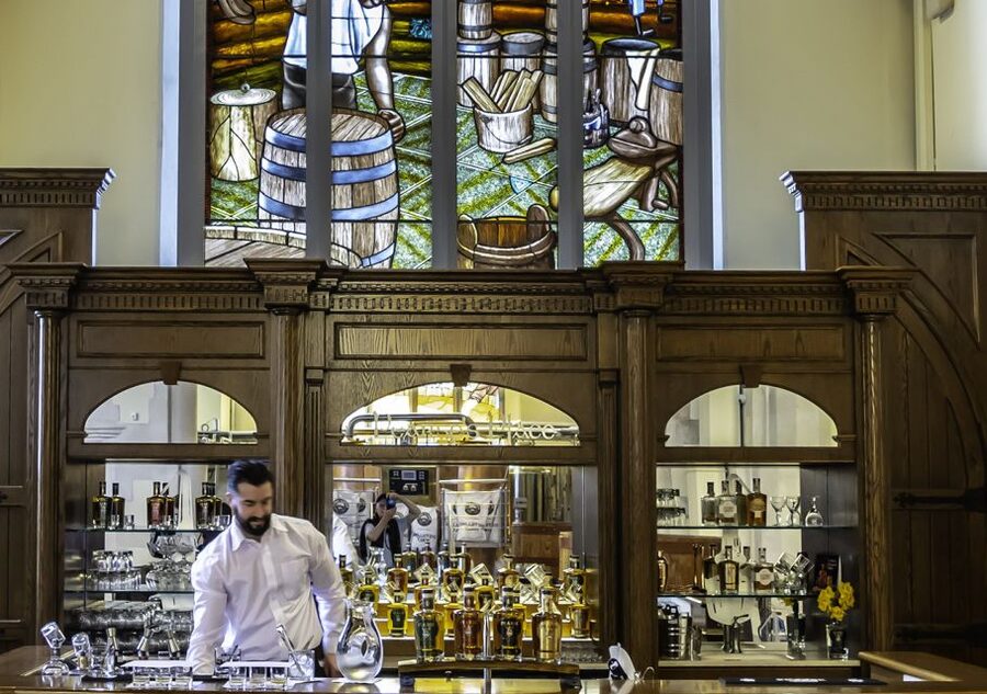 Dublin: Pearse Lyons Whiskey Distillery Experience - Who this Pearse Lyons tour is best for