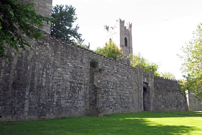 Dublin Private Medieval Walking Tour - Dublin Castle and the medieval power center you can read from outside