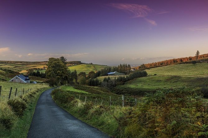 Dublin Private Walking Tour with a Local - Price and Value: When $66.09 Makes Sense