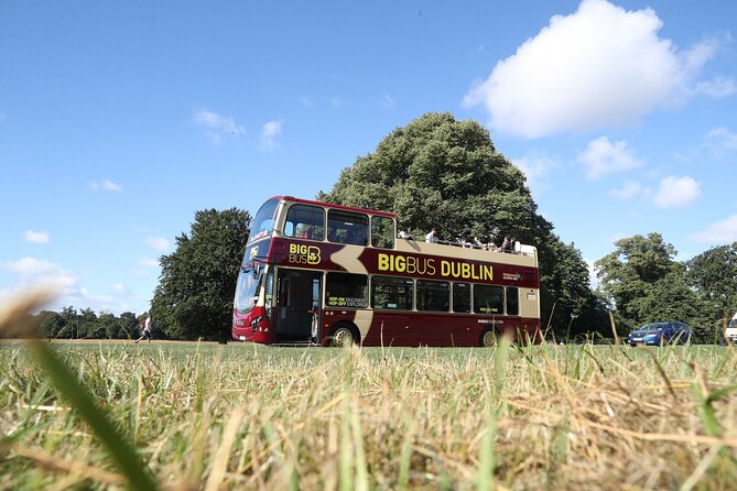 Dublin Shore Excursion, Live Guided Open-top, Hop-on Hop-off Sightseeing Tour - Quick practical tips to get more from your day