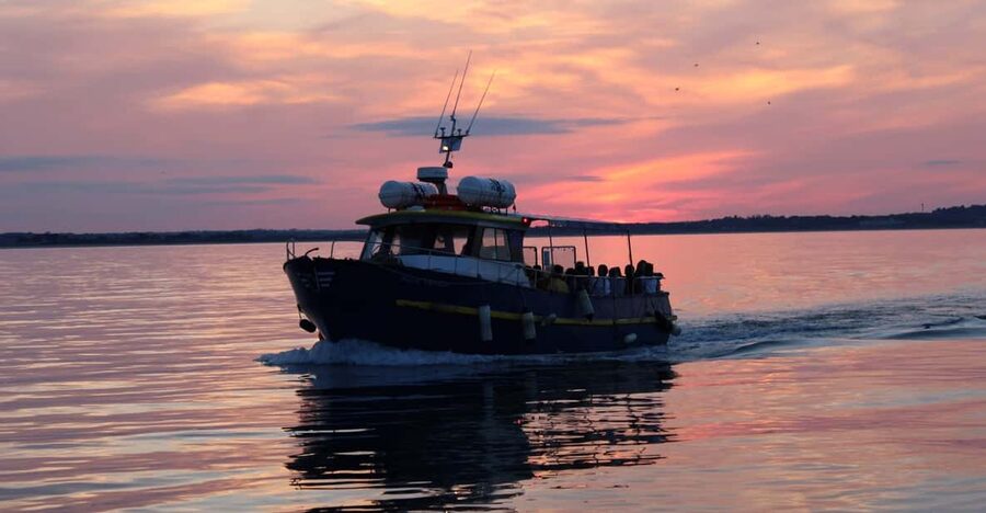 Dublin: Sunset Cruise in Howth - Howth Sunset From The Water: What You Get in a Tight 60 Minutes