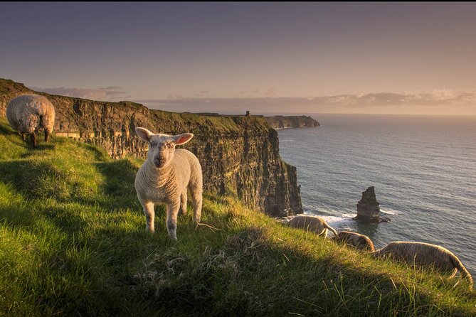 Dublin to Cliffs of Moher, Ennis Town & Bunratty Castle Day Tour - Value Check: What You Get for an All-Day Structure