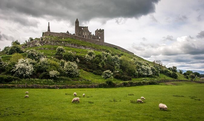 Dublin to Rock of Cashel, Cork City & Blarney Castle Guided Tour - Key highlights