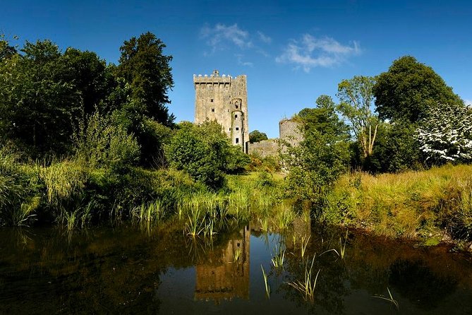 Dublin to Rock of Cashel, Cork City & Blarney Castle Guided Tour - Cork City in 90 Minutes: Markets, Pints, and Pick-Your-Own Adventure