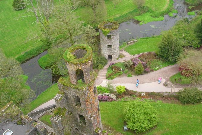 Dublin to Rock of Cashel, Cork City & Blarney Castle Guided Tour - Blarney Castle and Gardens: The Stone, the Gardens, and the Witches Cave