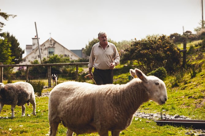 Dublin to South West 5 Day Small-Group Tour with Accommodation - Key Highlights Worth Getting Excited About