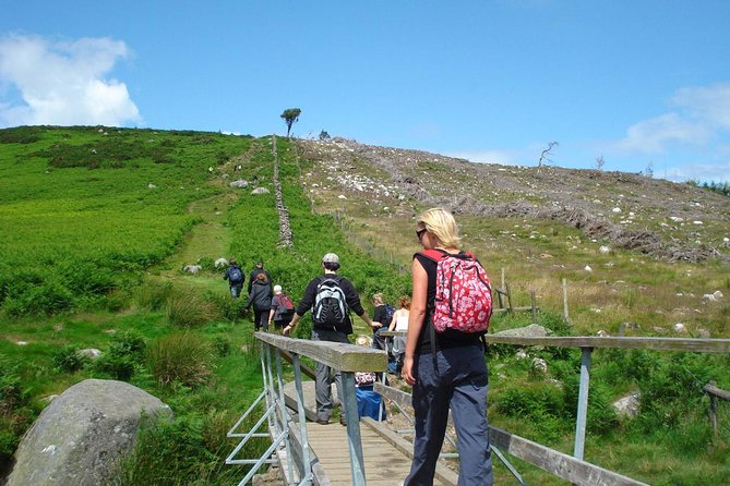 Dublin to Wicklow, Glendalough Small Group Tour with Guided Walk - Scenic drives and picture stops: Sally Gap and Guinness Lake (Lough Tay)