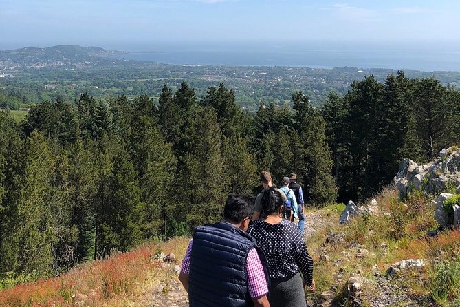 Dublin to Wicklow, Glendalough Small Group Tour with Guided Walk - Price and value: what you pay for at about $90.74