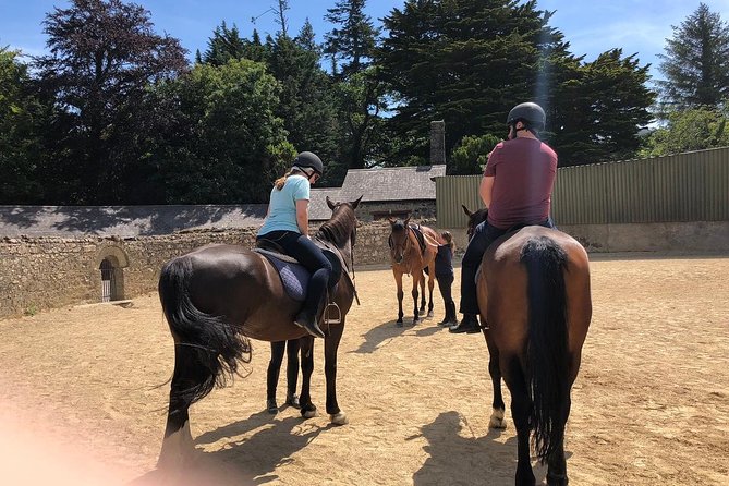 Dublin to Wicklow, Glendalough Small Group Tour with Horse Riding - The ride after Glendalough, plus when weather can change the feel